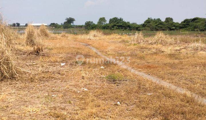 Disewakan Tanah Industri Di Jl Raya Lingkar Timur Sidoarjo Jawa Timur 1