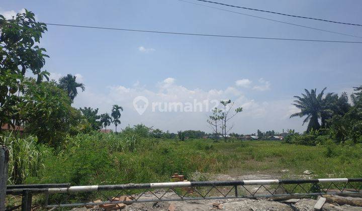 Tanah 2Ha strategis JL.Ampera Batang kuis deli serdang Medan Sumatra Utara  2