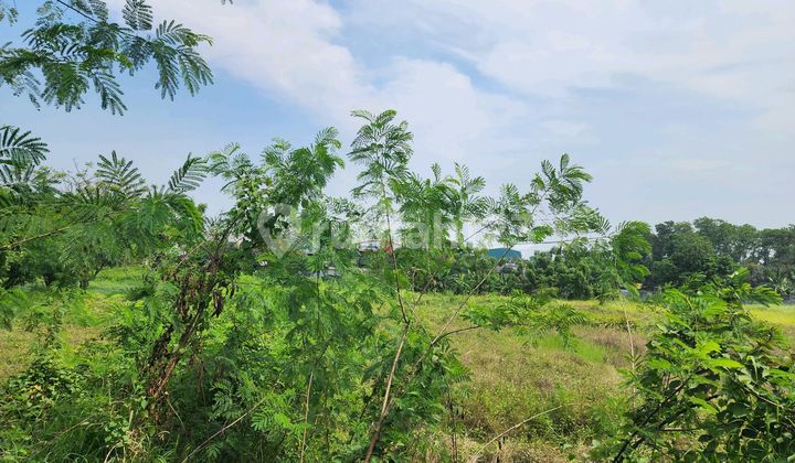 Land 1.1 Hectares Suitable for Factory/Warehouse 5 Minutes from Cikande Toll Exit Land 1.1 Hectares Suitable for Factory/Warehouse 5 Minutes from Cikande Toll Exit