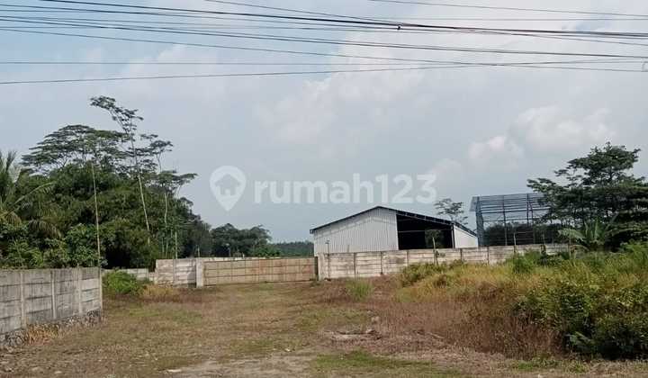 Warehouse for Sale in Citeras, Rangkasbitung, Lebak, Banten Warehouse for Sale in Citeras, Rangkasbitung, Lebak, Banten