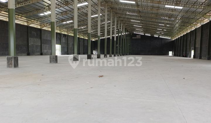 Disewakan Gudang Brand New Loading Dock 5200 M2 Dalam Kawasan Bayur Periuk Jaya Tangerang Disewakan Gudang Brand New Loading Dock 5200 M2 Dalam Kawasan Bayur Periuk Jaya Tangerang