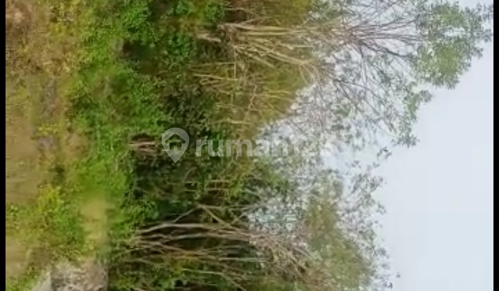 Tanah di Blue Ocean, Nusa Dua Bali , Badung Sertifikat Hak Milik 1,7 ha 6