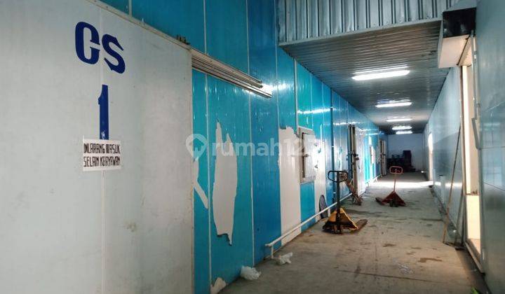 Pabrik di Krapayak Pekalongan Jawa Tengah, Pekalongan 20.000 m Bagus SHM 3