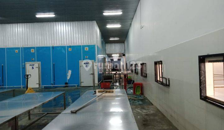 Pabrik di Krapayak Pekalongan Jawa Tengah, Pekalongan 20.000 m Bagus SHM 7