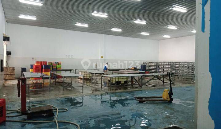 Pabrik di Krapayak Pekalongan Jawa Tengah, Pekalongan 20.000 m Bagus SHM 10