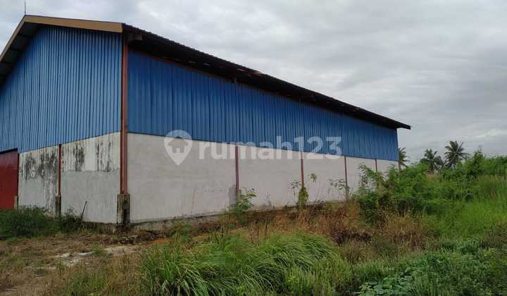 Gudang Bagus Siap Pakai di Jl Raya Serang Barat, 525 M SHM 5