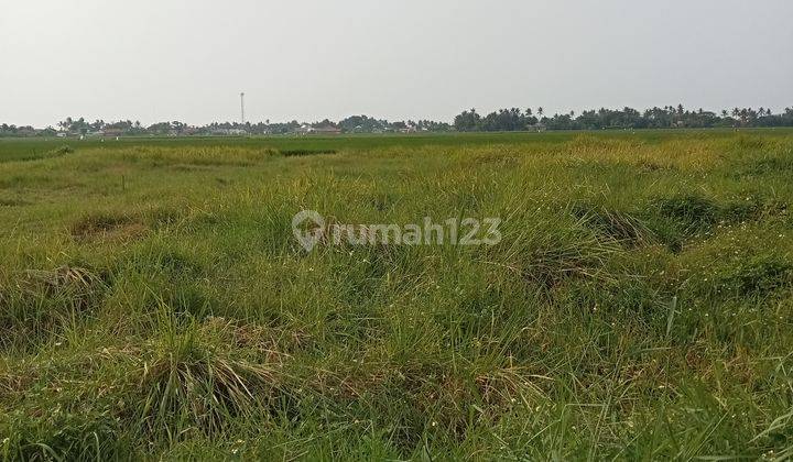 Tanah Pinggir Jalan Zona Kuning di Tanjakan, Tangerang 2.950 m² 2