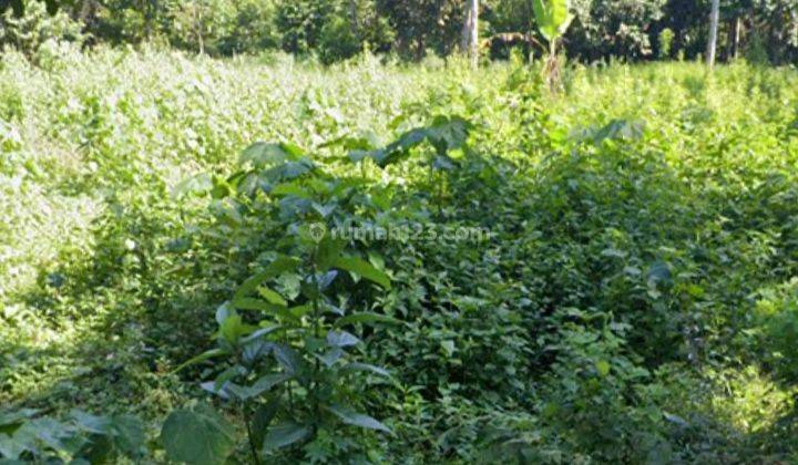 Tanah Bu Di Pancalaksana, Serang Sertifikat Hak Milih 8 Ha 2