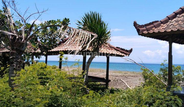 Tanah di Pantai Sumber Sari, Jembrana SHM 65 Are Bali 1