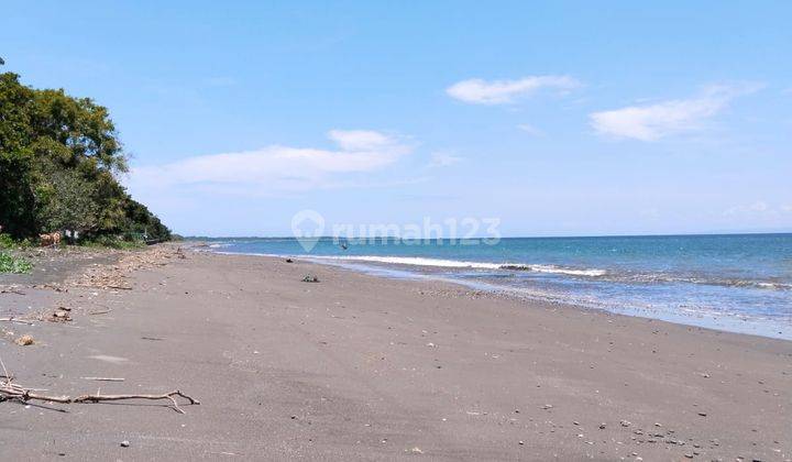 Tanah di Pantai Melaya, Jembrana SHM 26 Are Bali 1