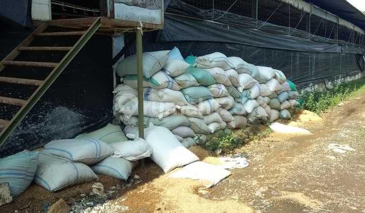 Tanah 1 Ha Lebih Ada Kandang Ayam Siap Usaha Shm Gantar Indramayu