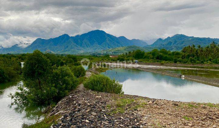 Tanah di Pantai Pejarakan, Buleleng SHM 30.000 m²  2