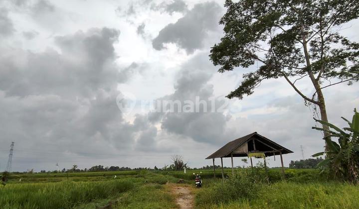 Tanah SHM Mengwi, Badung Bali
