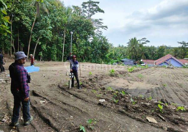 Tanah Pekarangan Strategis Dekat Tol Kulonprogo Yogyakarta 1