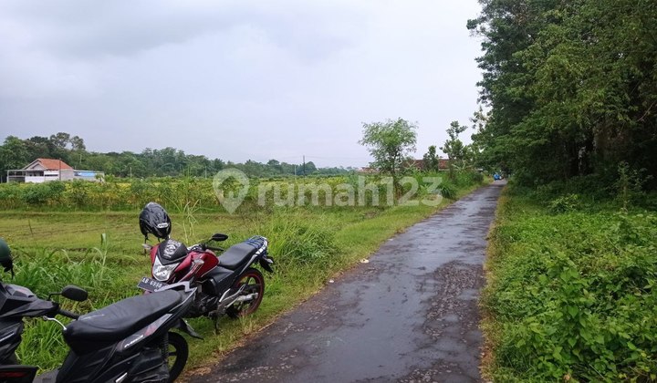 Tanah Dijual Klaten Dekat Candi Prambanan 2