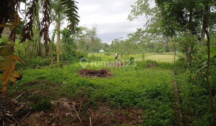 Tanah Dijual Klaten Dekat Candi Prambanan 5