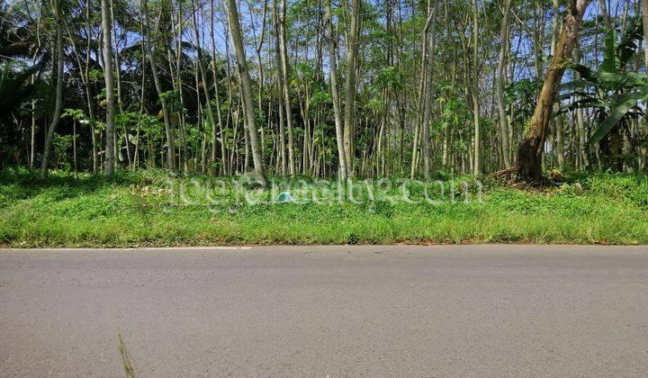 Tanah Dijual Magelang Dekat Candi Borobudur 1