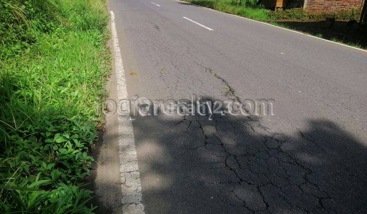 Tanah Dijual Magelang Dekat Candi Borobudur 5