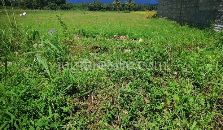 Tanah Dijual Magelang Dekat Borobudur 3