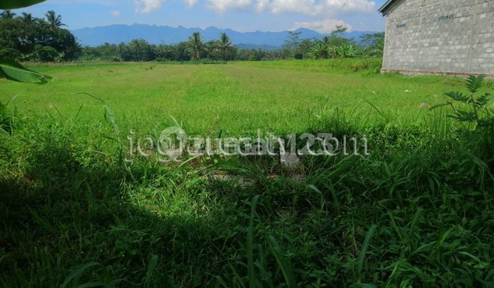 Tanah Dijual Magelang Dekat Borobudur 1