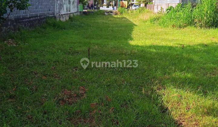 Tanah Sawah SHM Strategis di Pinggir Jalan Dekat Ringroad Sewon Bantul 1