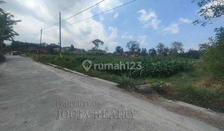 Tanah Sawah Dekat Kopi Klothok Jalan Kaliurang Pakem Sleman 1