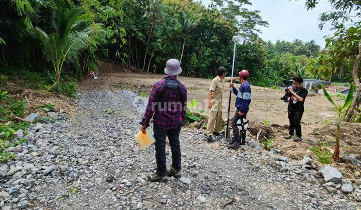 Tanah Pekarangan Strategis Dekat Tol Kulonprogo Yogyakarta 2