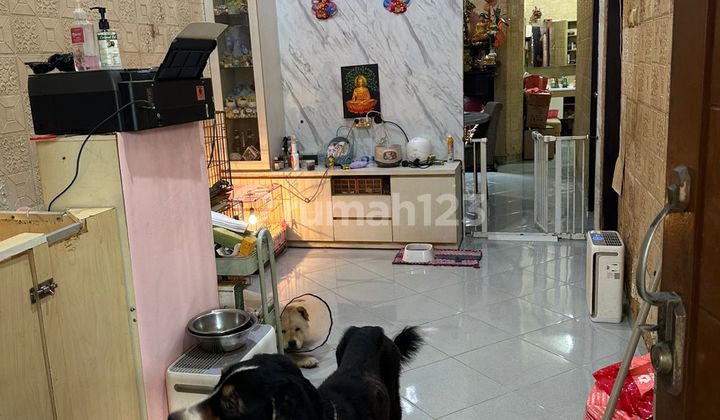 Siap Huni, Rumah, SHM, Duta Banara Permai Tangerang