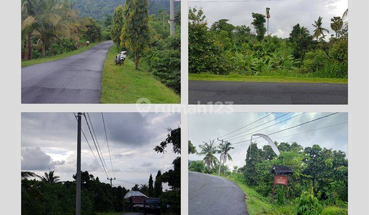 Buc Tanah Pinggir Jalan Utama Dengan View Ocean And Hill 1