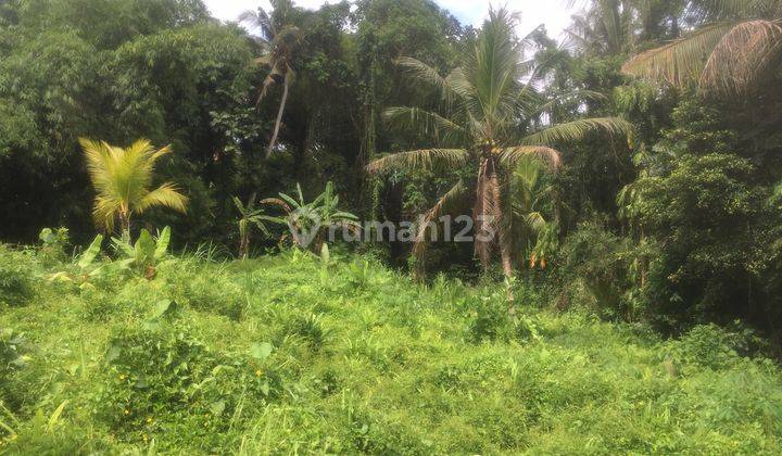 Buc Tanah View Sawah Dan Sungai di Bitera Gianyar Bali 2