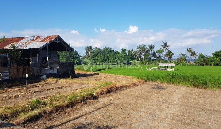 Tanah View Pantai Lingkungan Villa di Ketewel Gianyar Bali 1