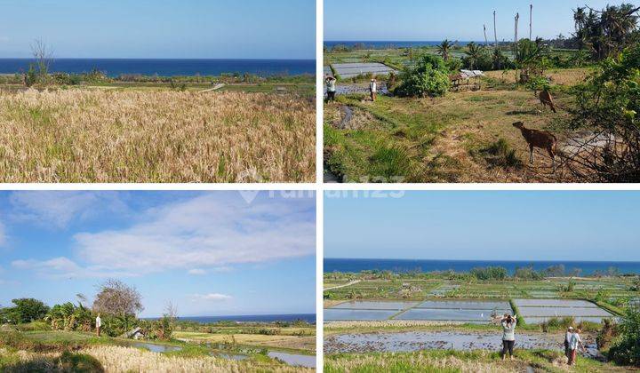 Tanah Full View Ocean di Pantai Purnama Sukawati Gianyar 1