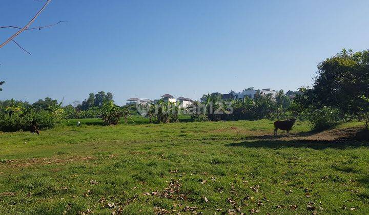 New Tanah Kavling 3 Are Kawasan Villa Dengan View Pantai Dan Sawah di Ketewel Gianyar Bali 1