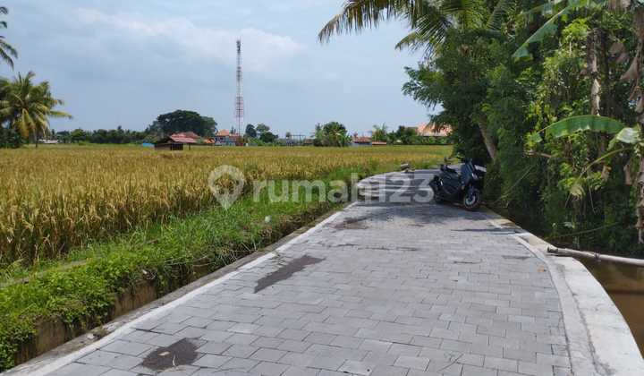 Buc 6 Are Tanah Sawah di Singapadu Kaler Gianyar Bali