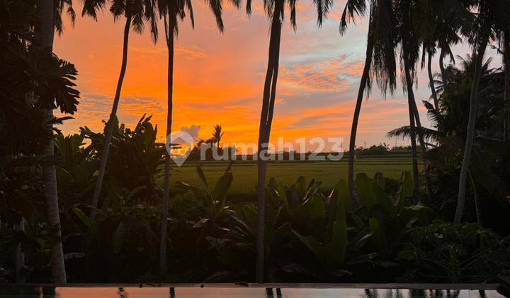 Vila Semi-Furnished yang Indah dengan Sungai Kecil, Sawah, dan Pemandangan Matahari Terbenam di Gianyar