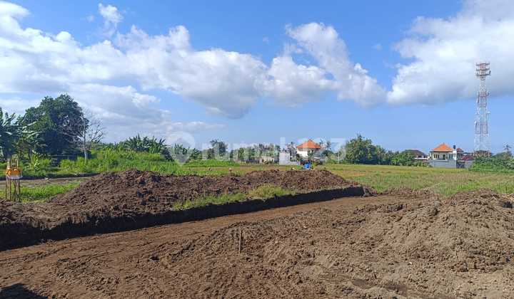 Plot Near Ida Bagus Mantra Bypass, Ocean View, Rice Fields, and Mount Agung