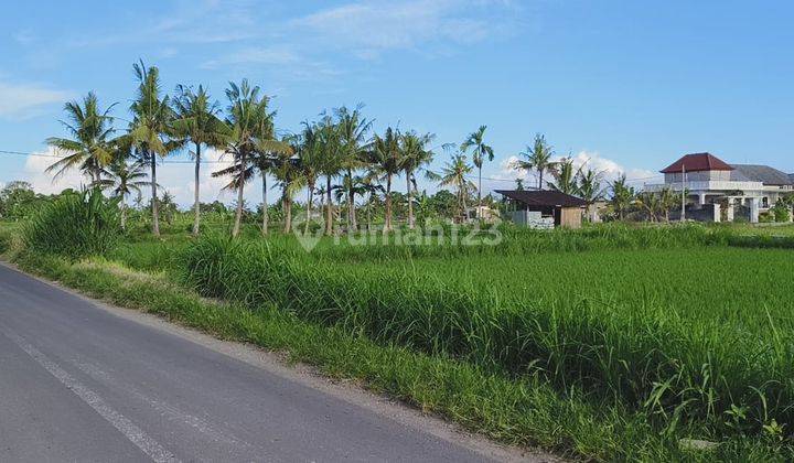 BUC Tanah Pinggir jalan Utama Kawasan Villa di Pering Gianyar Bali 1