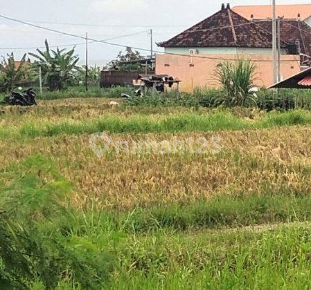 Tanah Sewa View Pantai bisa di Ambil Sesuai Permintaan di Ketewel Gianyar 1