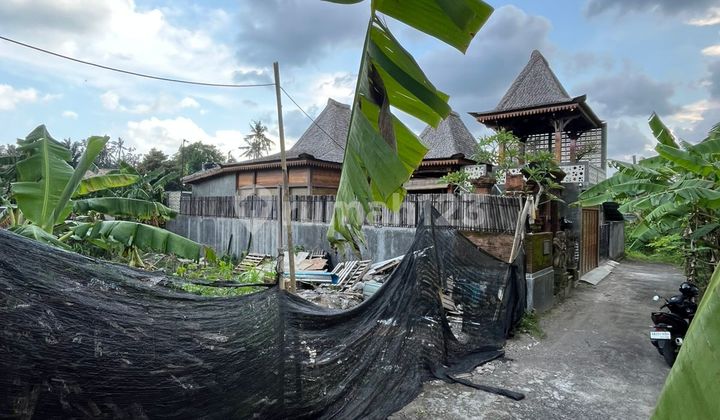 Buc 2 Are Lingkungan Villa di Saba Blahbatuh Gianyar Buc 2 Are Lingkungan Villa di Saba Blahbatuh Gianyar