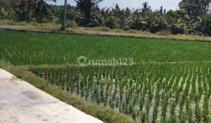 Buc 5 Are View Pantai Dan Sawah di Lebih Gianyar Bali 2