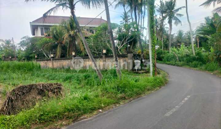 Buc 10 Are Pinggir Jalan Utama di Pering Gianyar Bali Buc 10 Are Pinggir Jalan Utama di Pering Gianyar Bali
