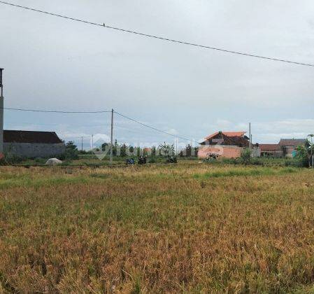Tanah Sewa View Pantai bisa di Ambil Sesuai Permintaan di Ketewel Gianyar 2