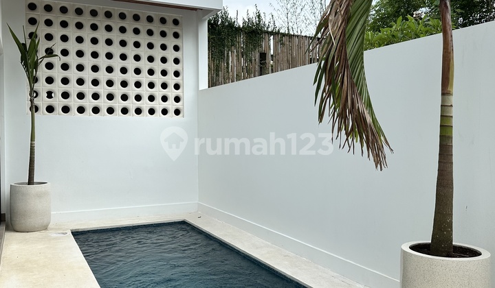 One Bedroom Private Pool In Padonan Canggu