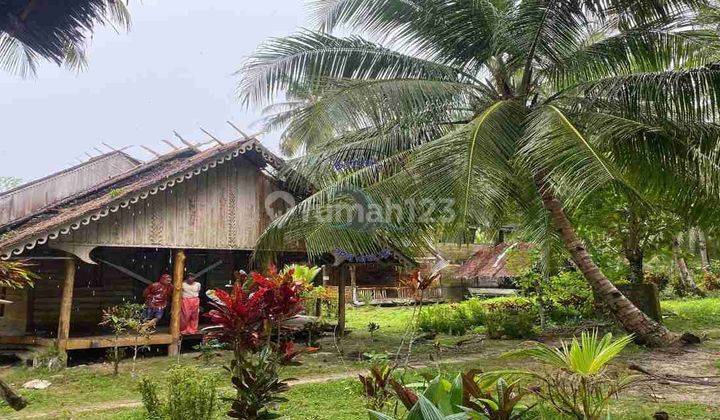 Land For Lease 25 + 25 Years In Maskod Island, Mentawai Island  2