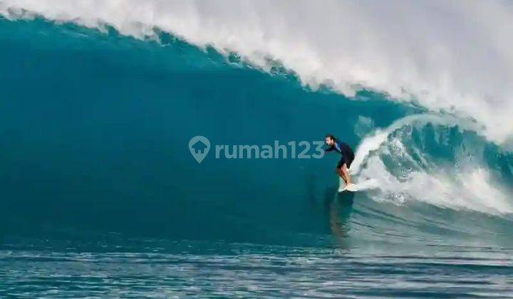 A Homestay For Lease 10 Years In North Sipora Mentawai Island 1