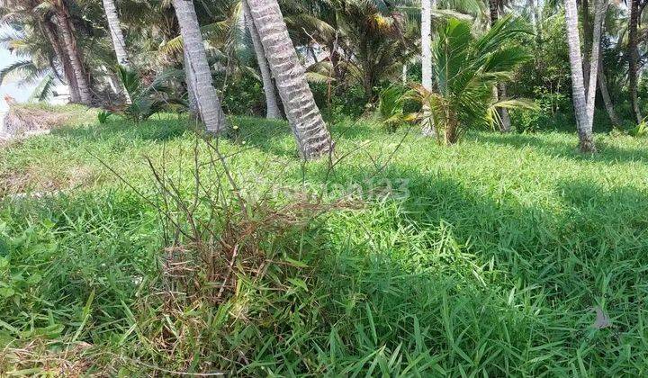 Katiet Beachfront Land For Sale Mentawai Islands 2