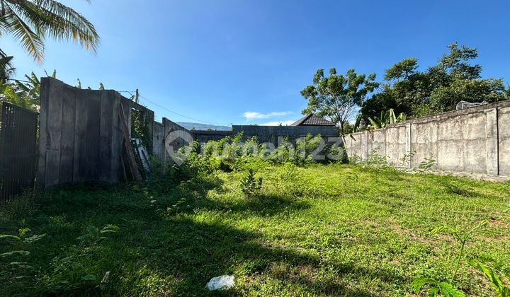 Freehold Land For Sale In Lovina