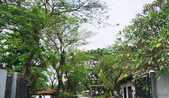 Dijual Cepat Tanah Kavling Sangat Strategis Di Cikunir