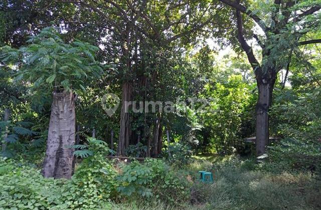 MURAH Tanah kebon u.perumahan dll di Tambun Etty 08993334194 5