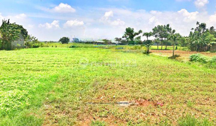 Tanah Murah Shm Pinggir Jalan Raya Utk Cluster,gudang,sekolah Ety 1